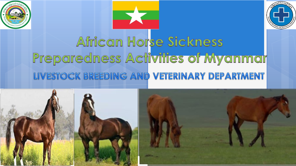 Myanmar Is Historically African Horse Sickness Disease (AHS) Free Country