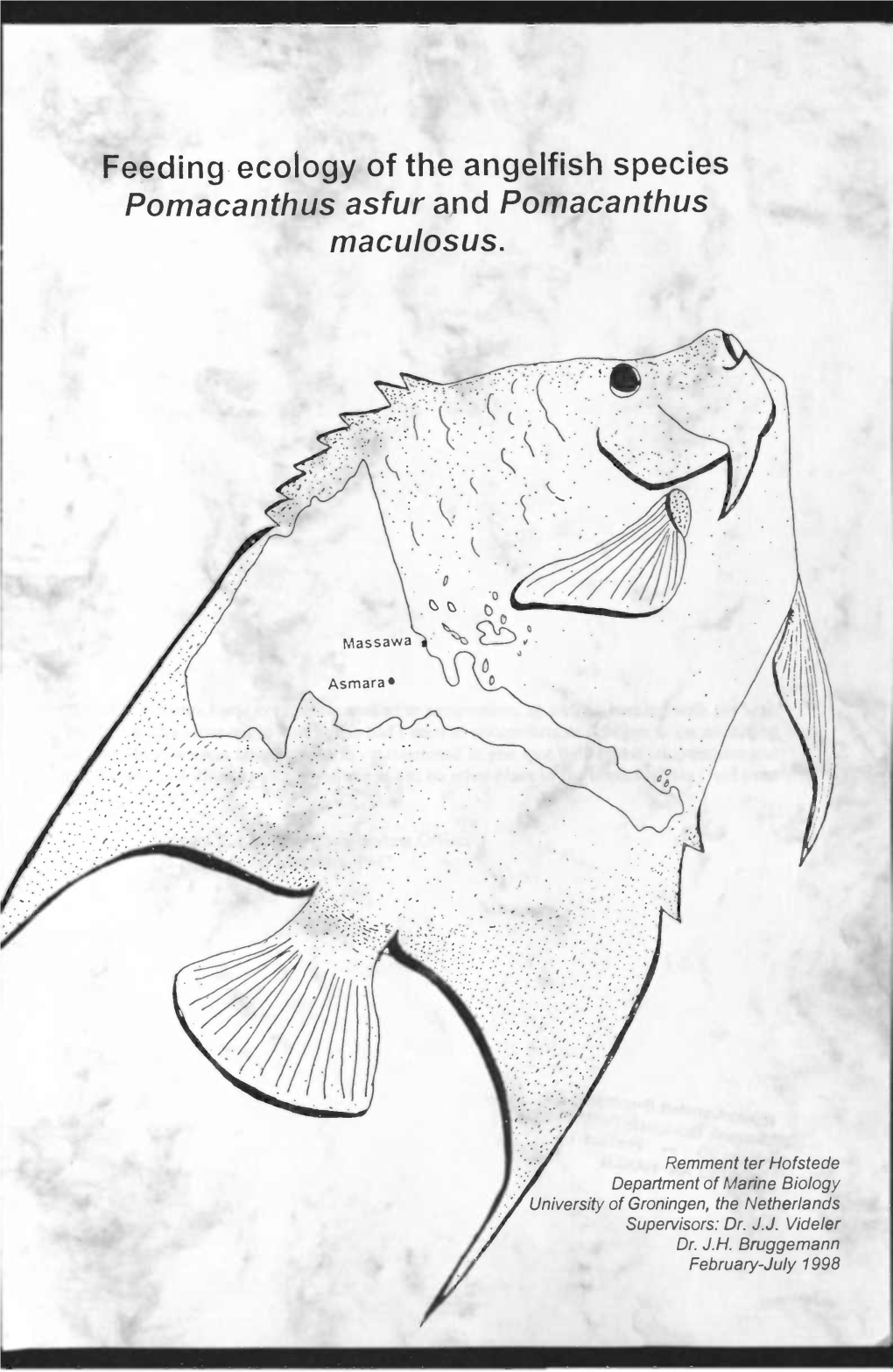 Feeding Ecology of the Angelfish Species Pomacanthus Asfur and Pomacanthus Maculosus