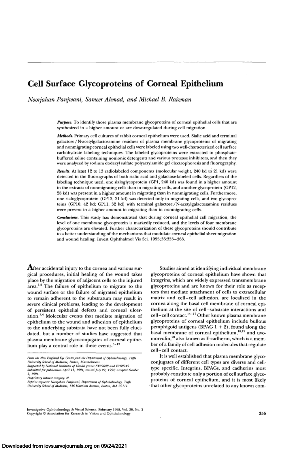 Cell Surface Glycoproteins of Corneal Epithelium