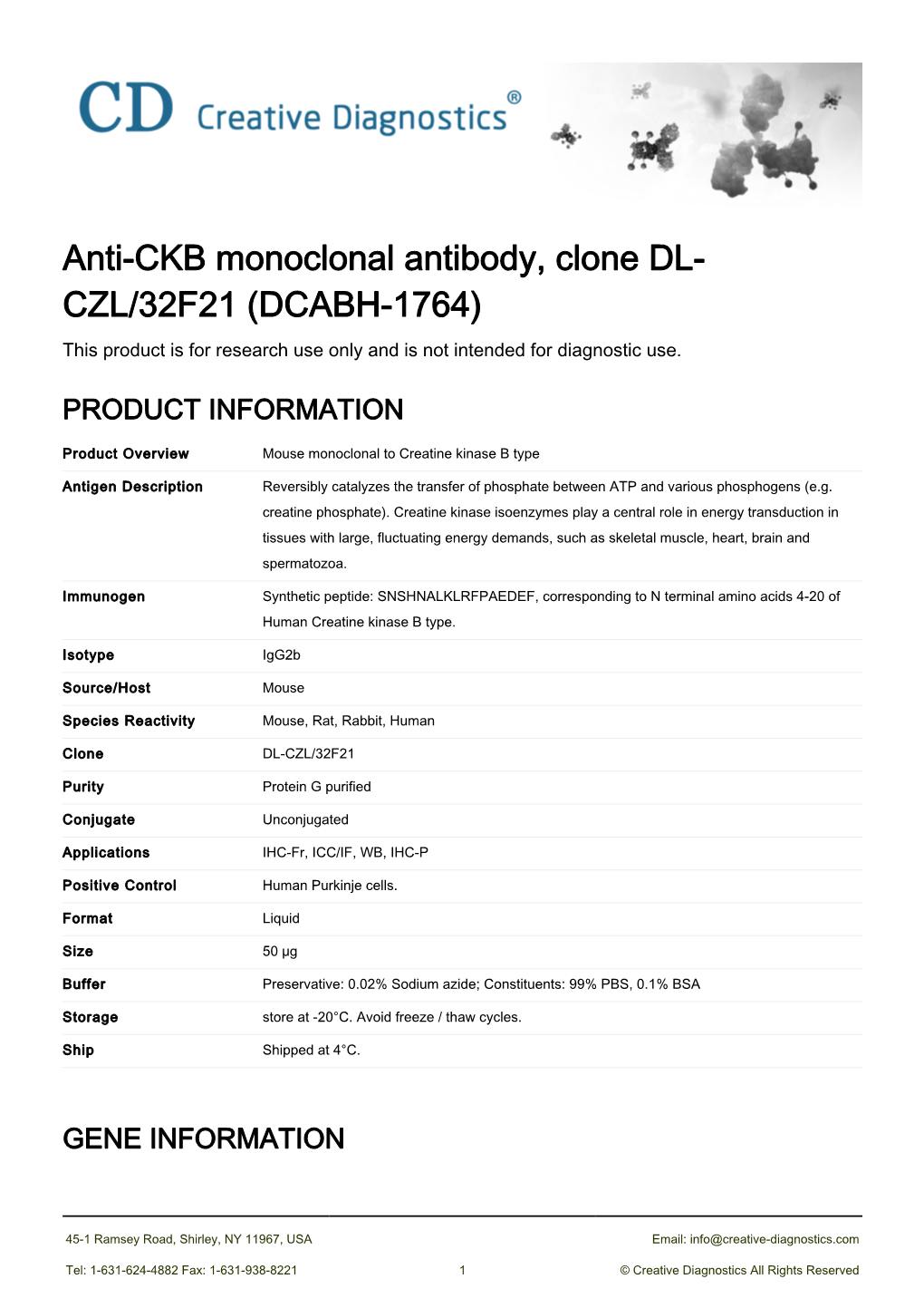 Anti-CKB Monoclonal Antibody, Clone DL-CZL/32F21