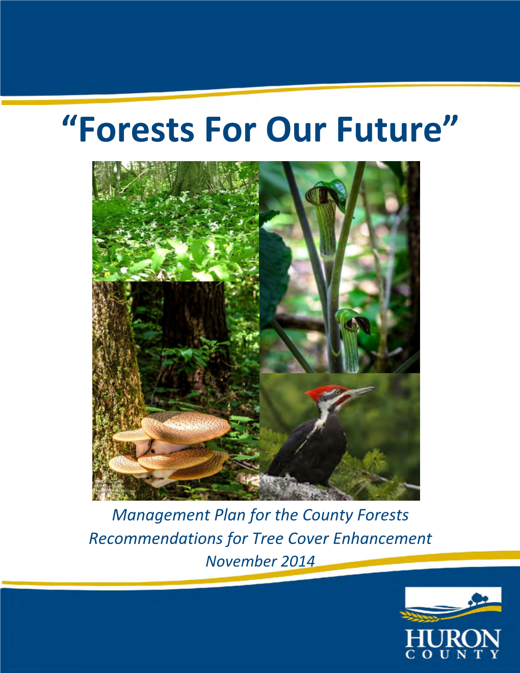 “Forests for Our Future”