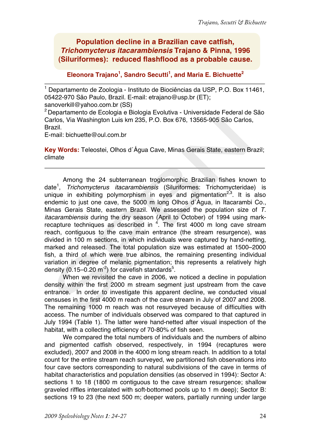 Population Decline in a Brazilian Cave Catfish, Trichomycterus Itacarambiensis Trajano & Pinna, 1996 (Siluriformes): Reduced Flashflood As a Probable Cause