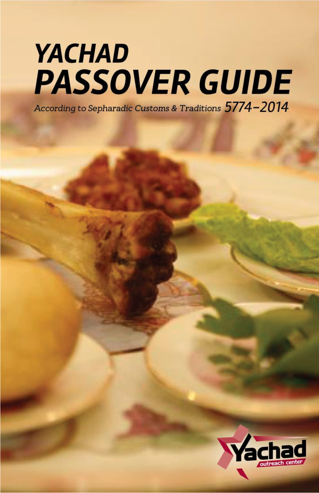 Yachad-Pesach-2014-Guide.Pdf