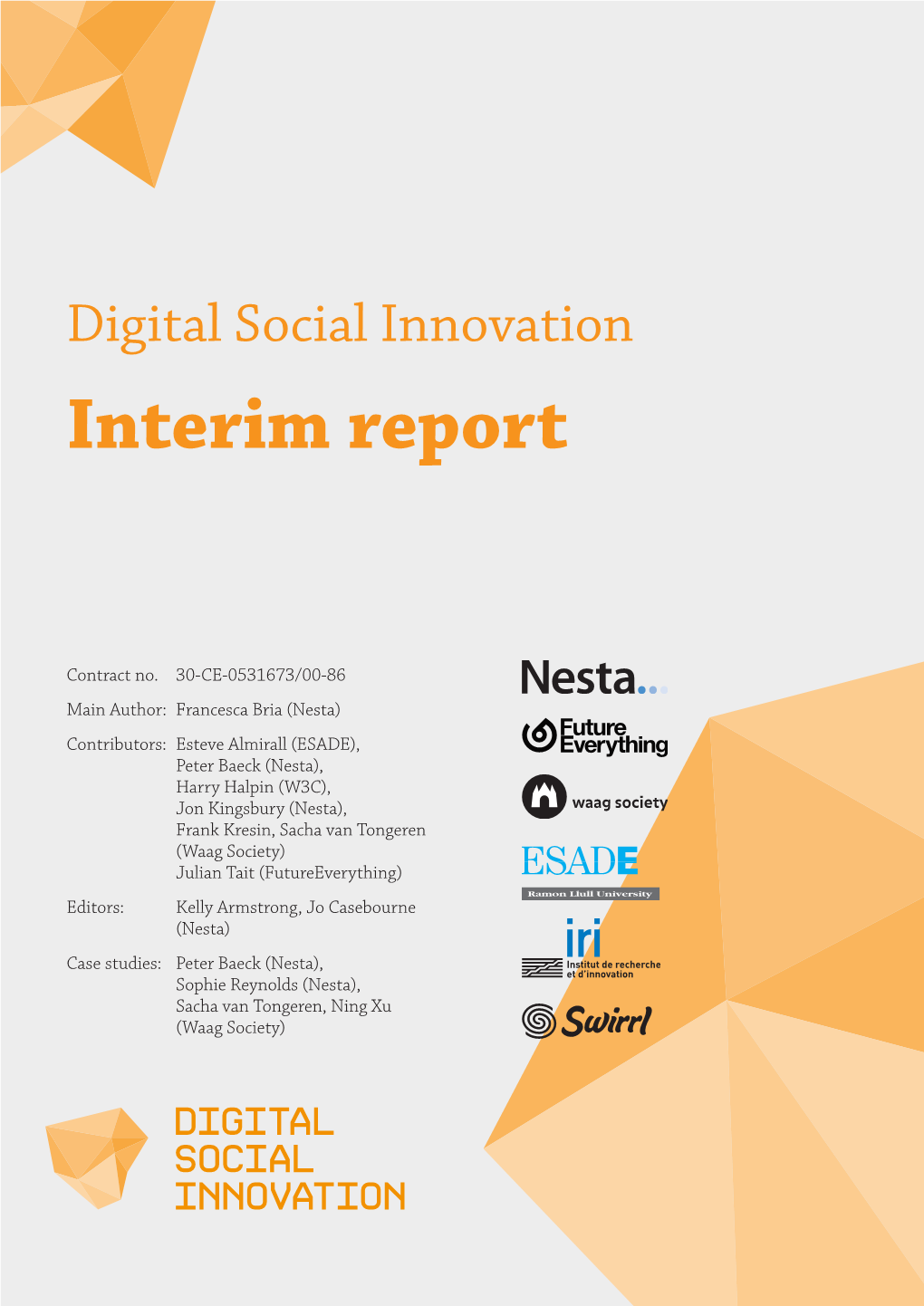 Digital Social Innovation Interim Report