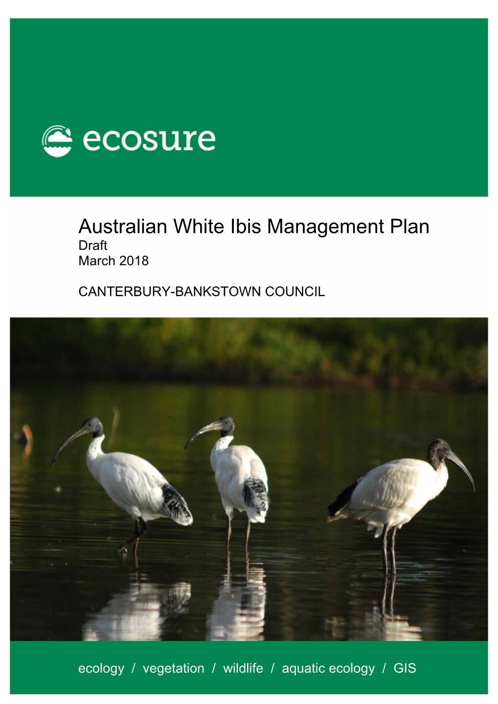 Australian White Ibis Management Plan Draft March 2018