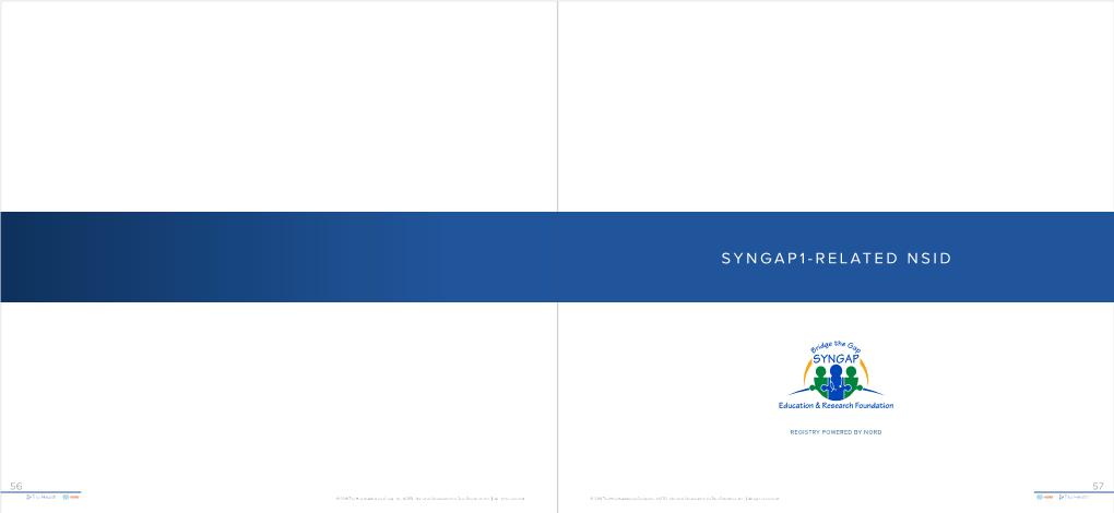 Syngap1-Related Nsid