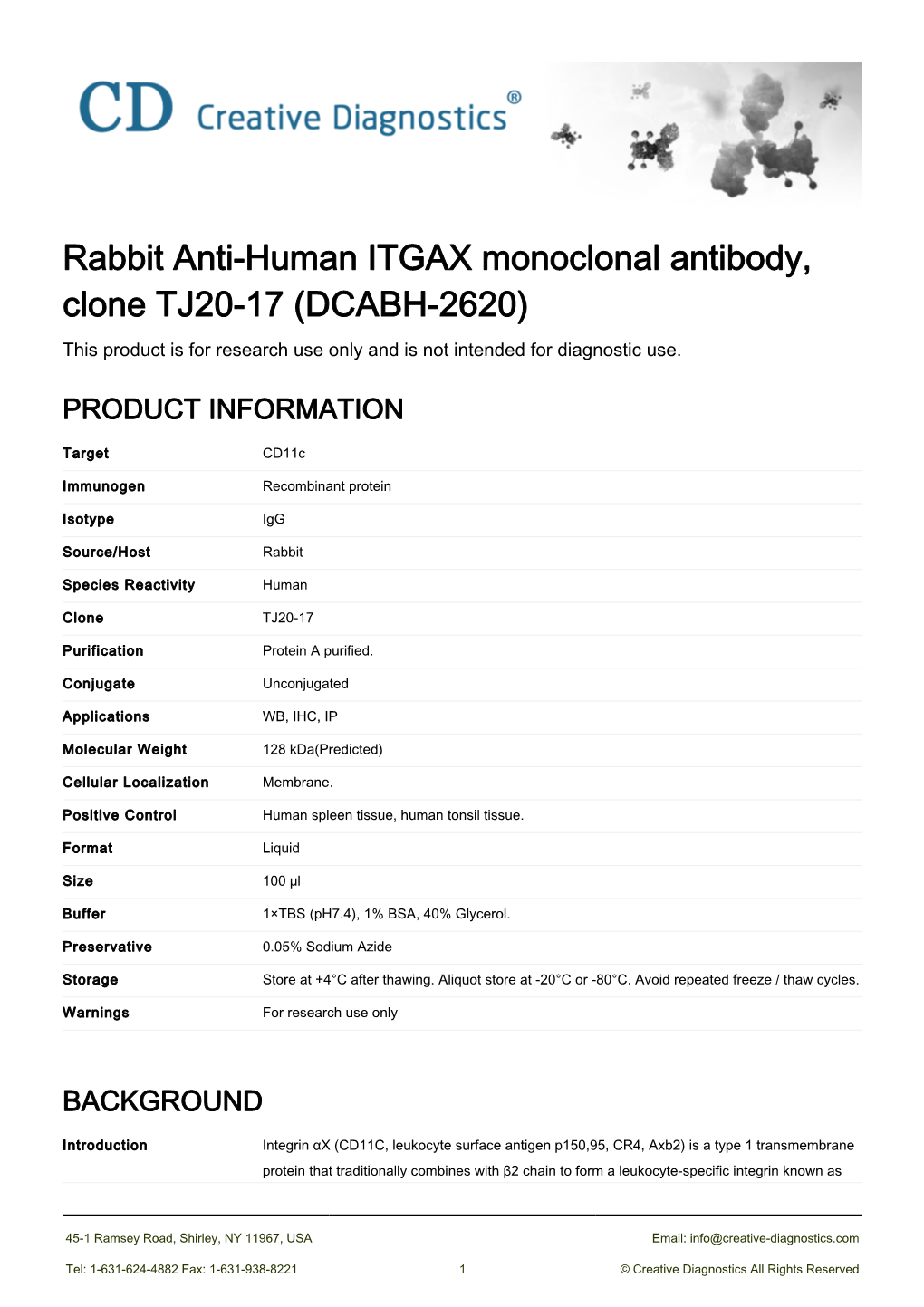 Rabbit Anti-Human ITGAX Monoclonal Antibody, Clone TJ20-17 (DCABH-2620) This Product Is for Research Use Only and Is Not Intended for Diagnostic Use