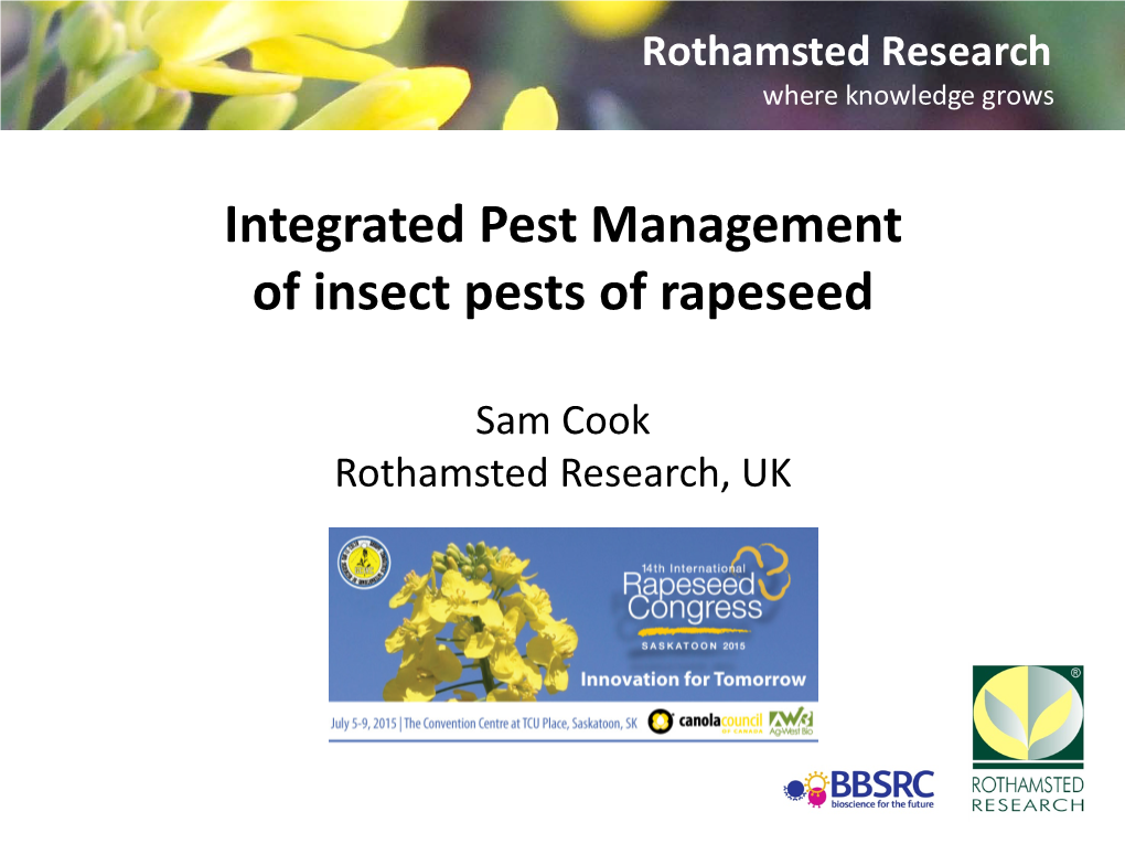 Integrated Pest Management of Insect Pests of Rapeseed