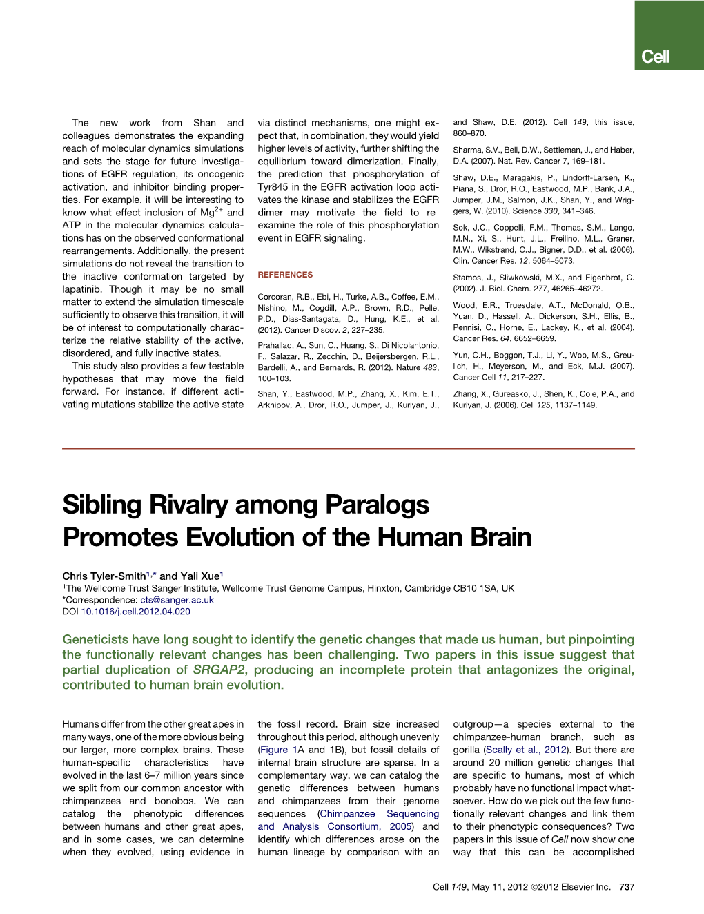 Sibling Rivalry Among Paralogs Promotes Evolution of the Human Brain
