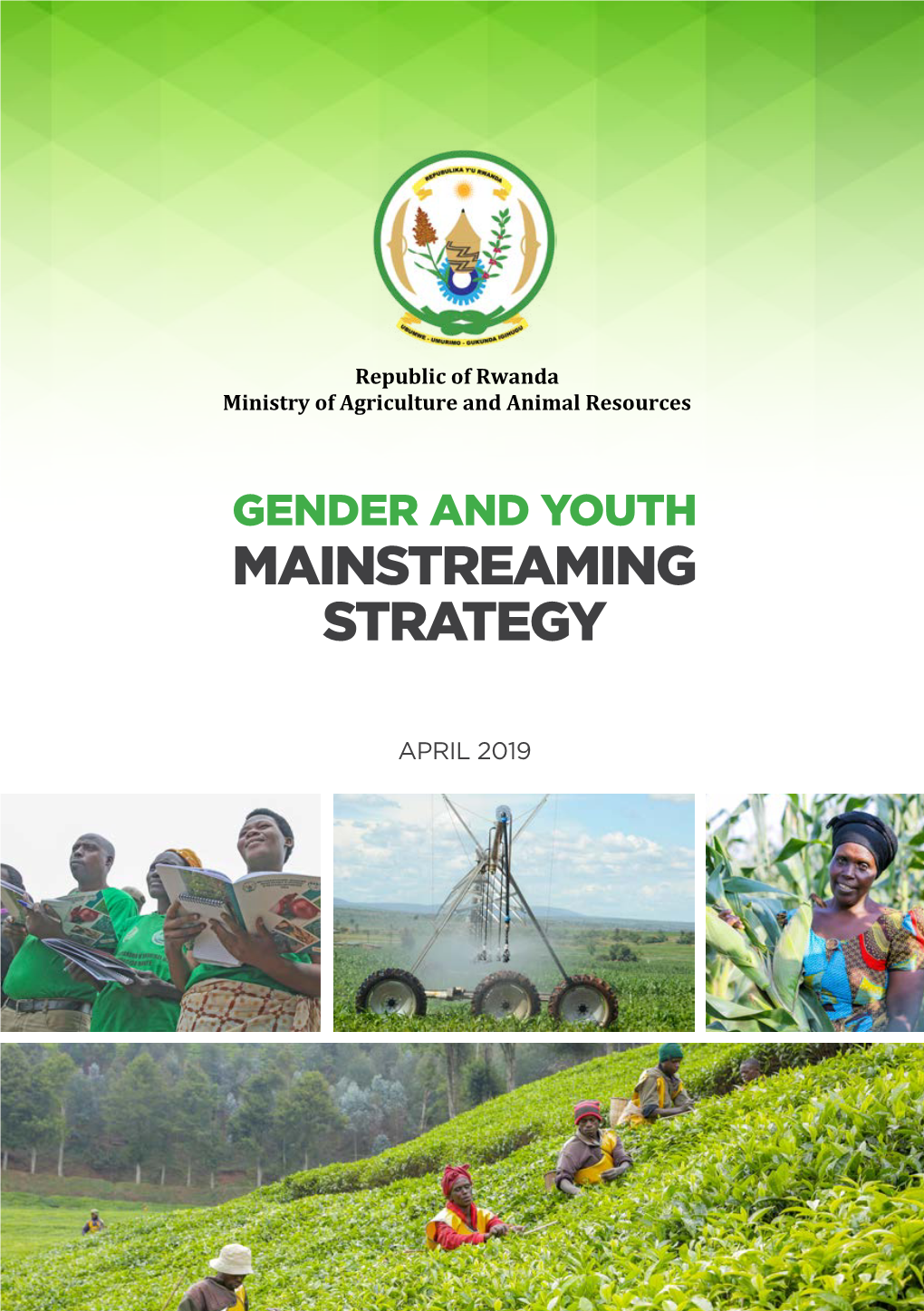 Gender and Youth Mainstreaming Strategy
