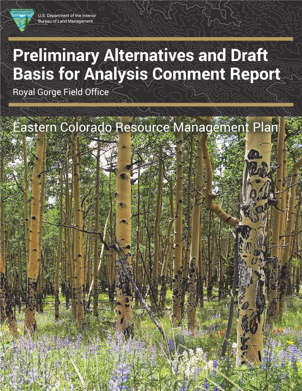 Preliminary Alternatives and Draft Basis for Analysis Comment Report