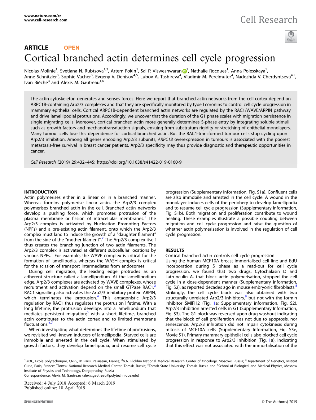 Cortical Branched Actin Determines Cell Cycle Progression