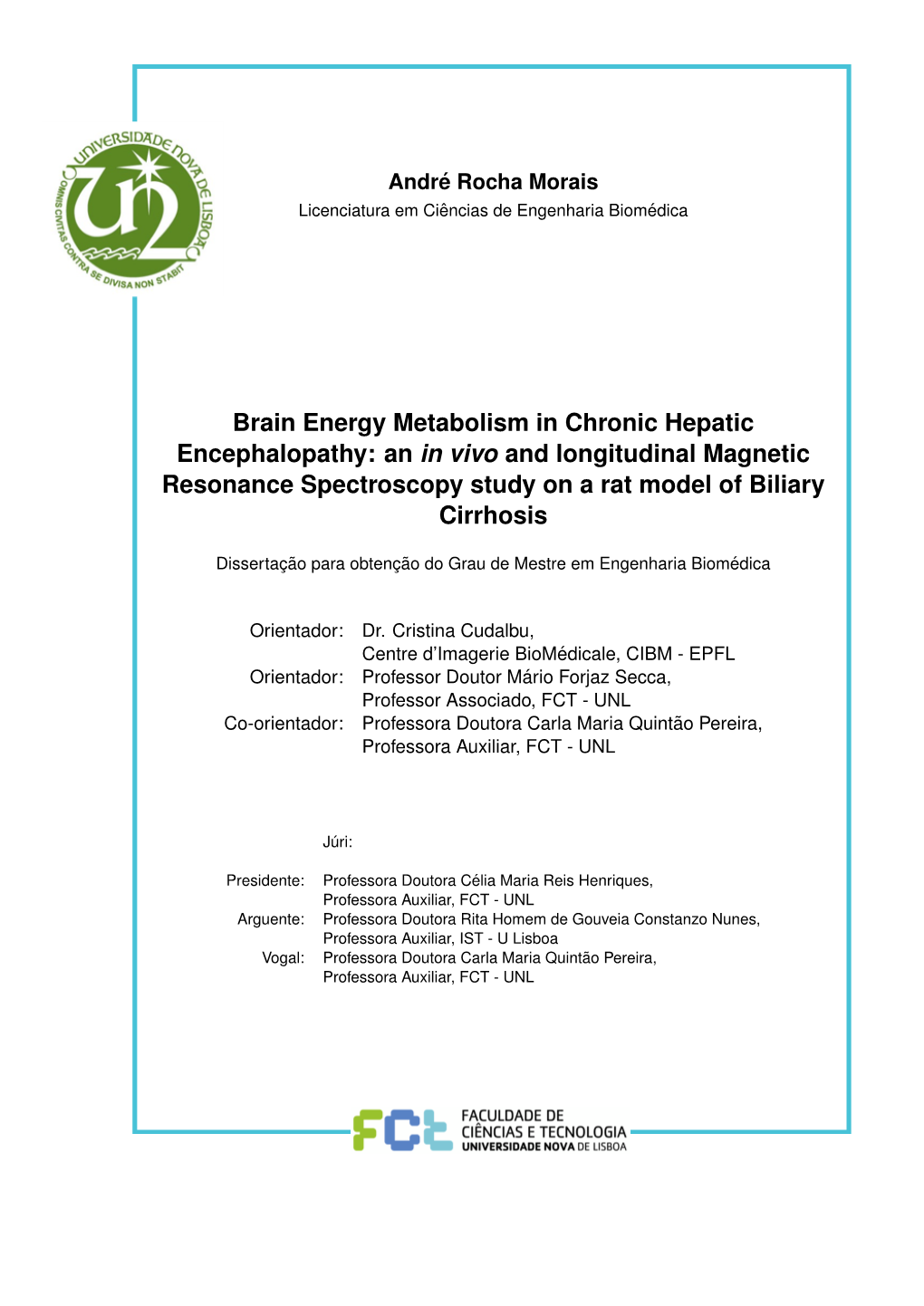 Brain Energy Metabolism in Chronic Hepatic Encephalopathy: an in Vivo and Longitudinal Magnetic Resonance Spectroscopy Study on a Rat Model of Biliary Cirrhosis