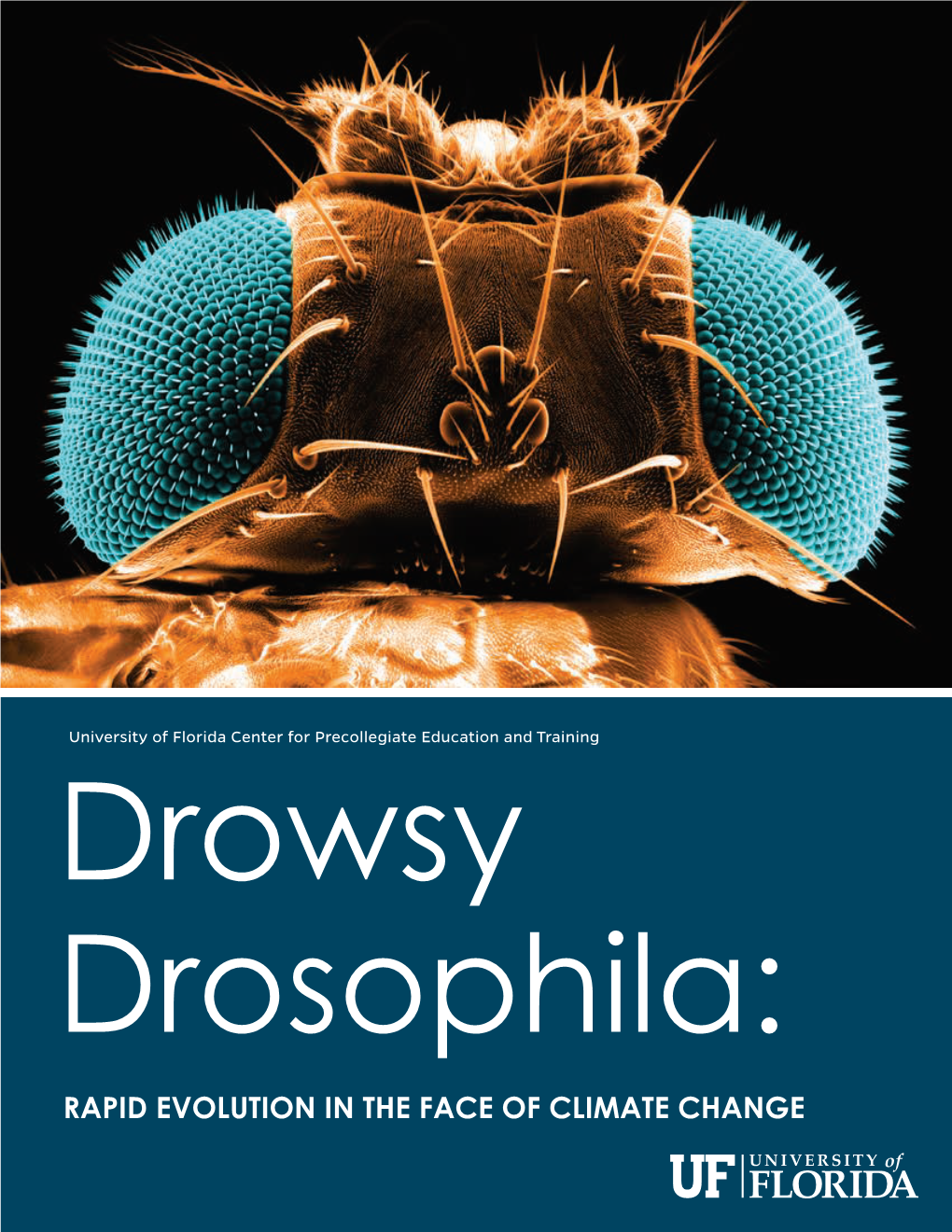 Rapid Evolution in the Face of Climate Change Drowsy Drosophila: Rapid Evolution in the Face of Climate Change