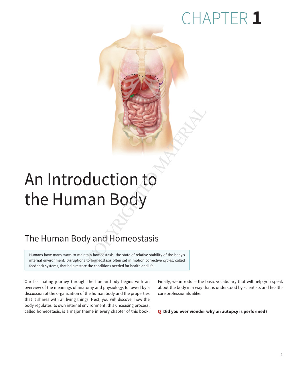 CHAPTER 1 an Introduction to the Human Body