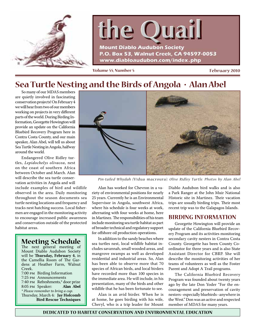 Sea Turtle Nesting and the Birds of Angola • Alan Abel