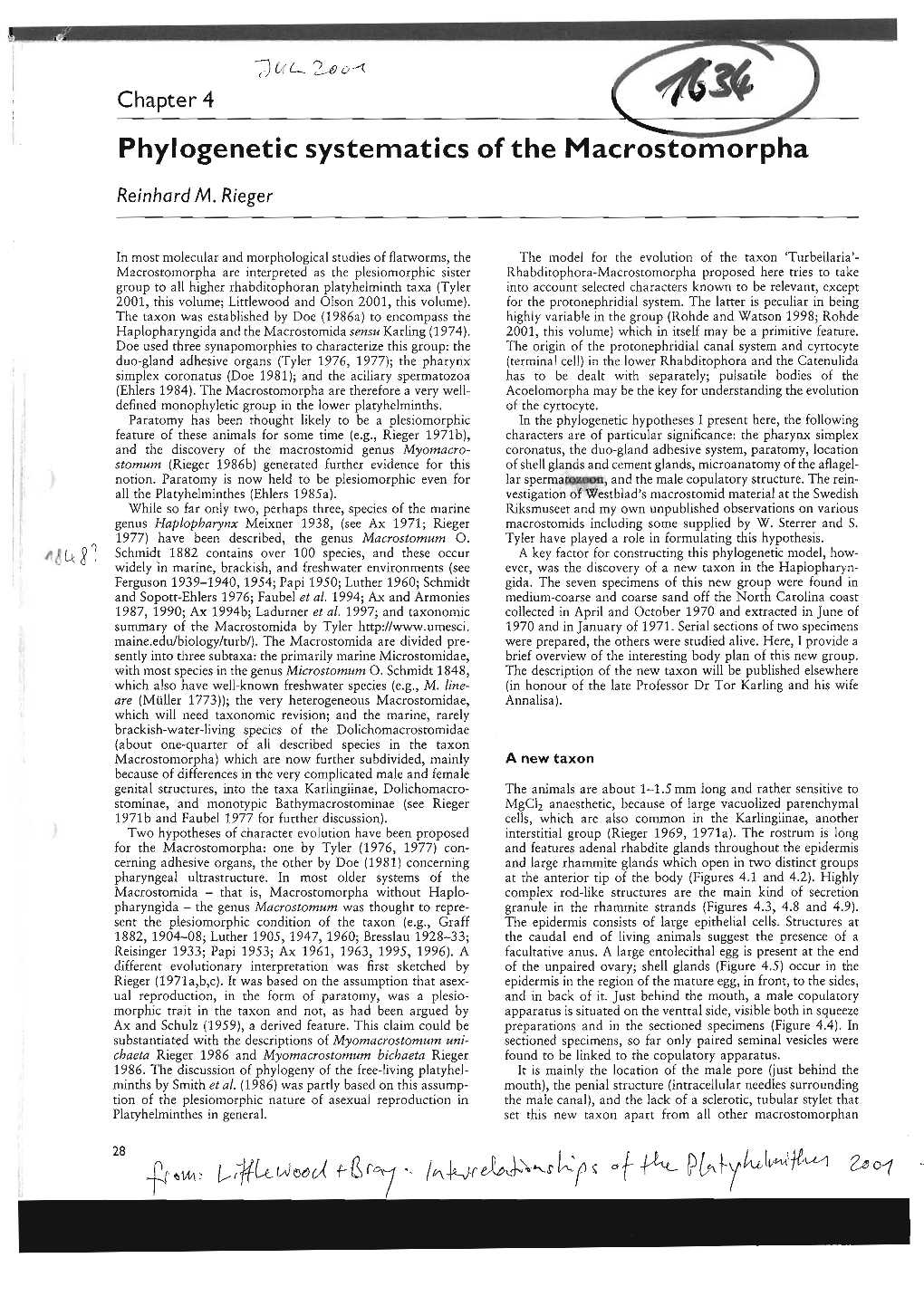 Phylogenetic Systematics of the Macrostomorpha L