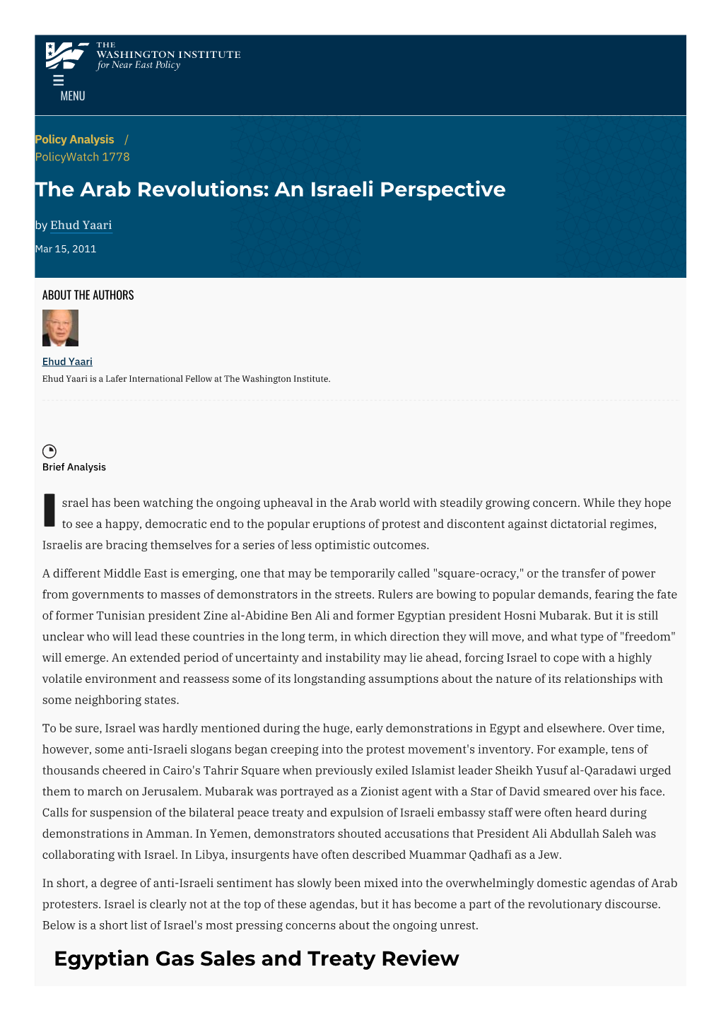 The Arab Revolutions: an Israeli Perspective | the Washington Institute