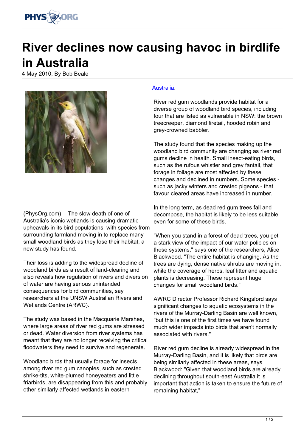 River Declines Now Causing Havoc in Birdlife in Australia 4 May 2010, by Bob Beale