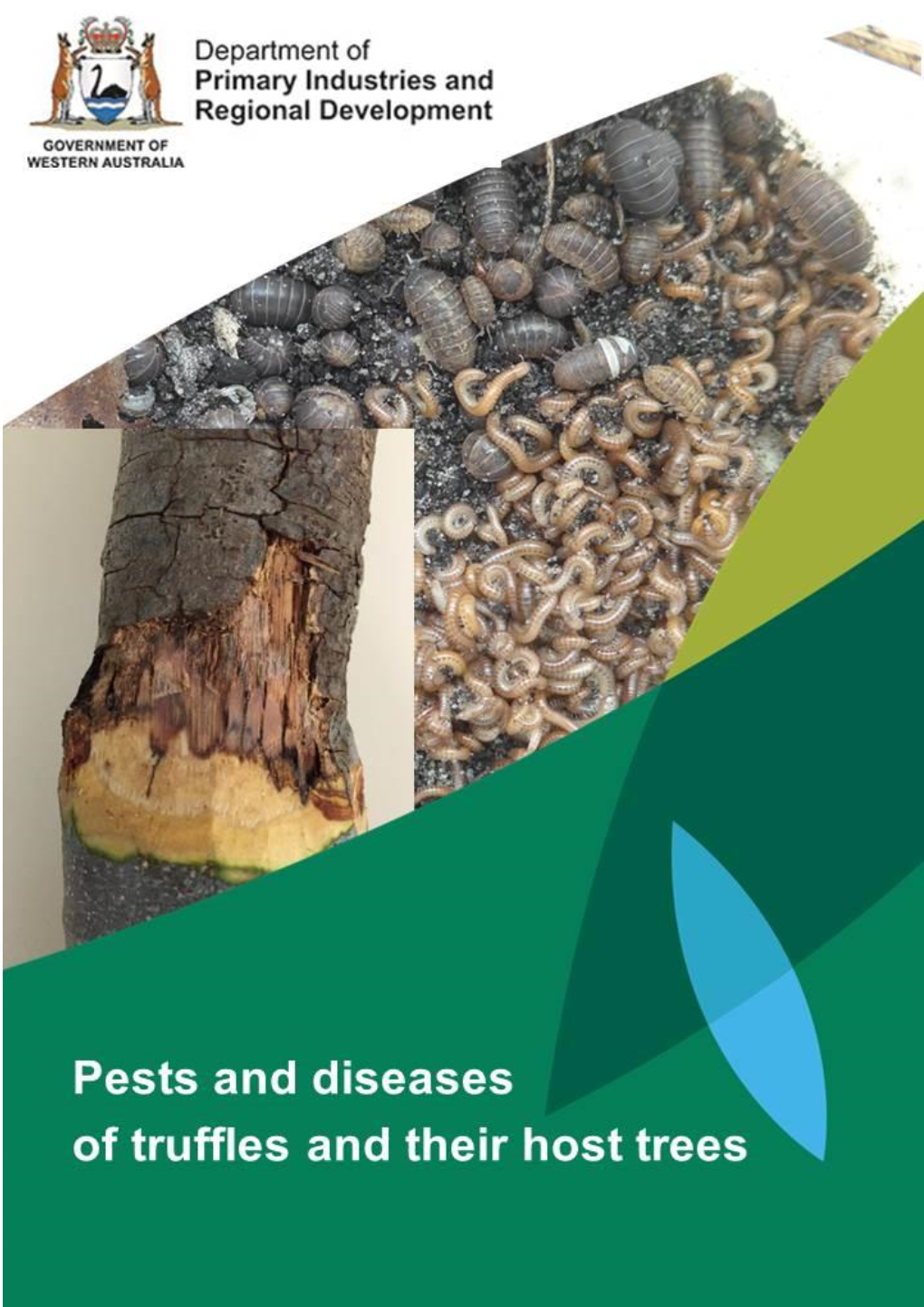 2017 Pest & Diseases of Truffles and Their Host Trees.Pdf
