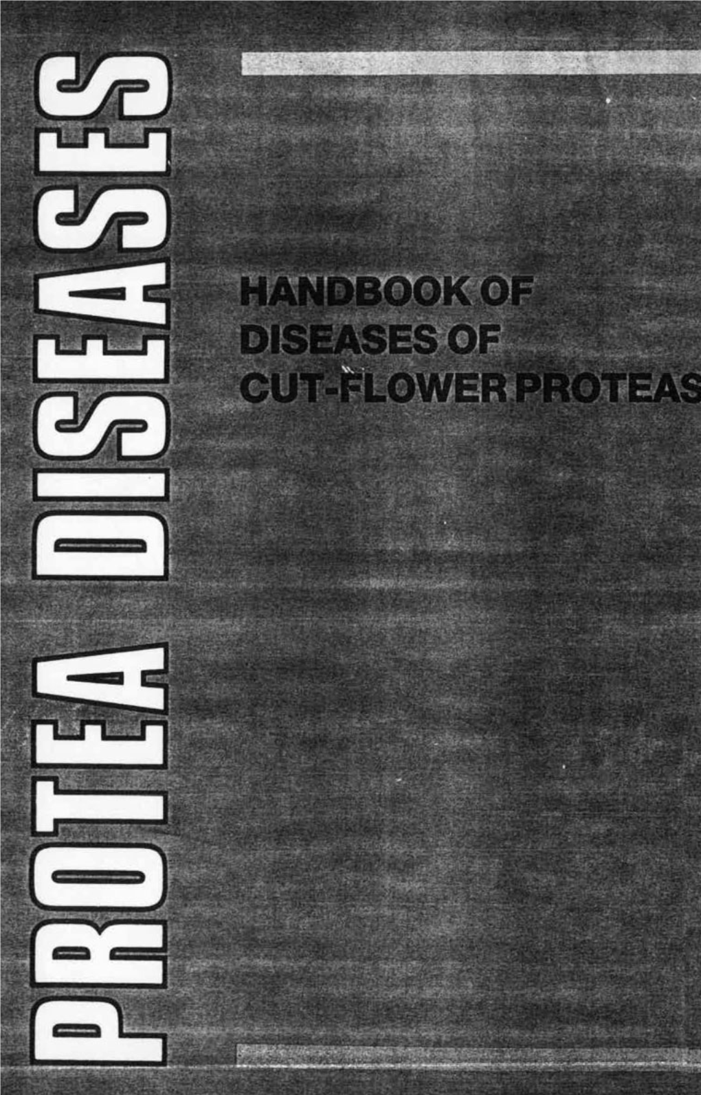 Diseases of Cut-Flower Proteas