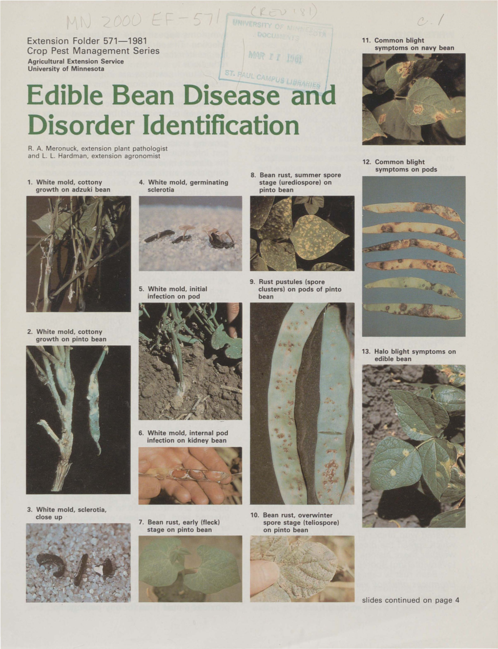 Edible Bean Disease Ancl Disorder Identification R