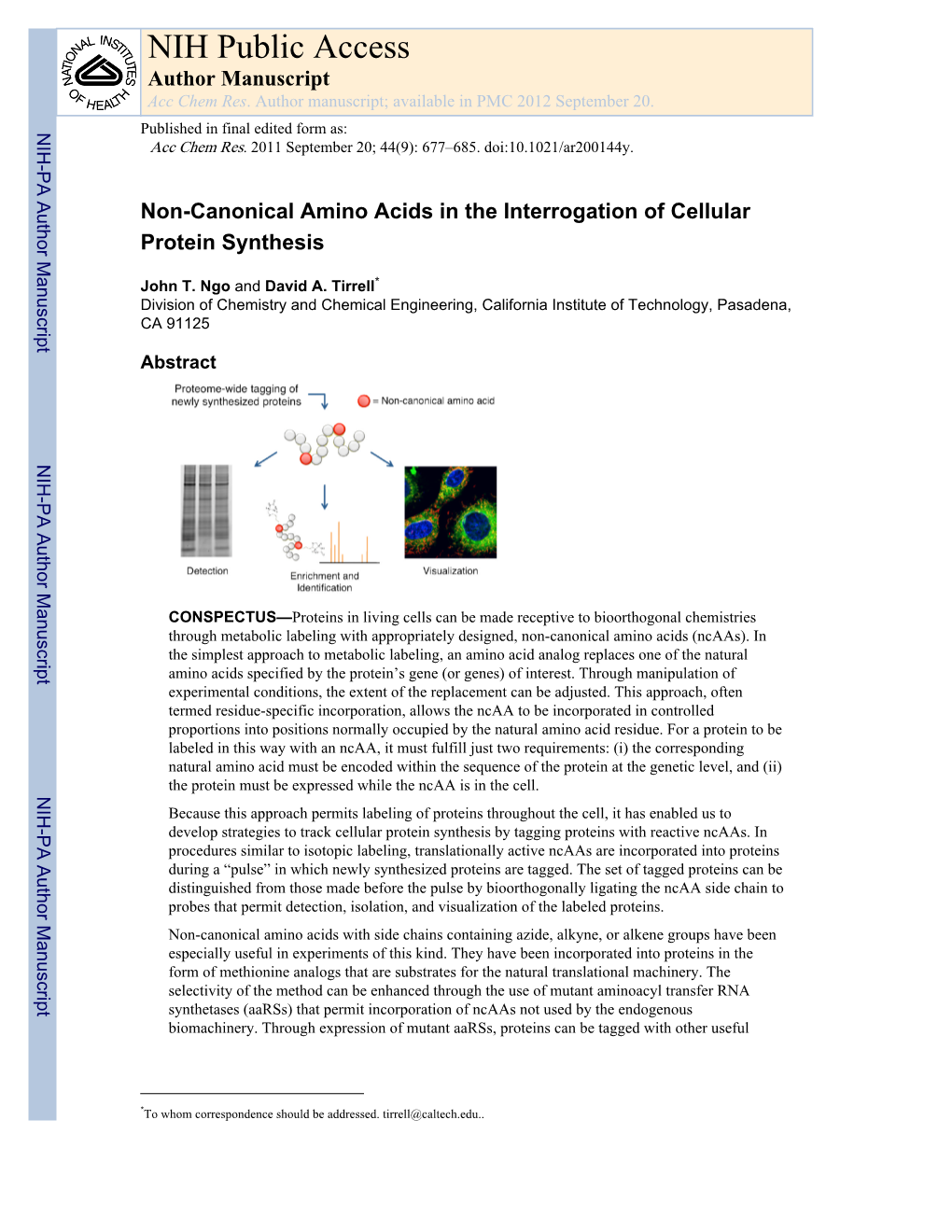 Noncanonical Amino Acids in the Interrogation of Cellular Protein