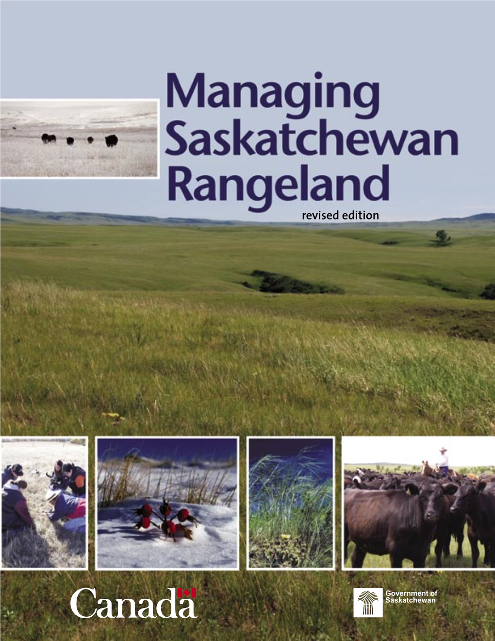 Managing Saskatchewan Rangeland Revised Edition Printed March 2008 This Revised Document, Like the Original, Concentrates on Rangeland Management in Saskatchewan