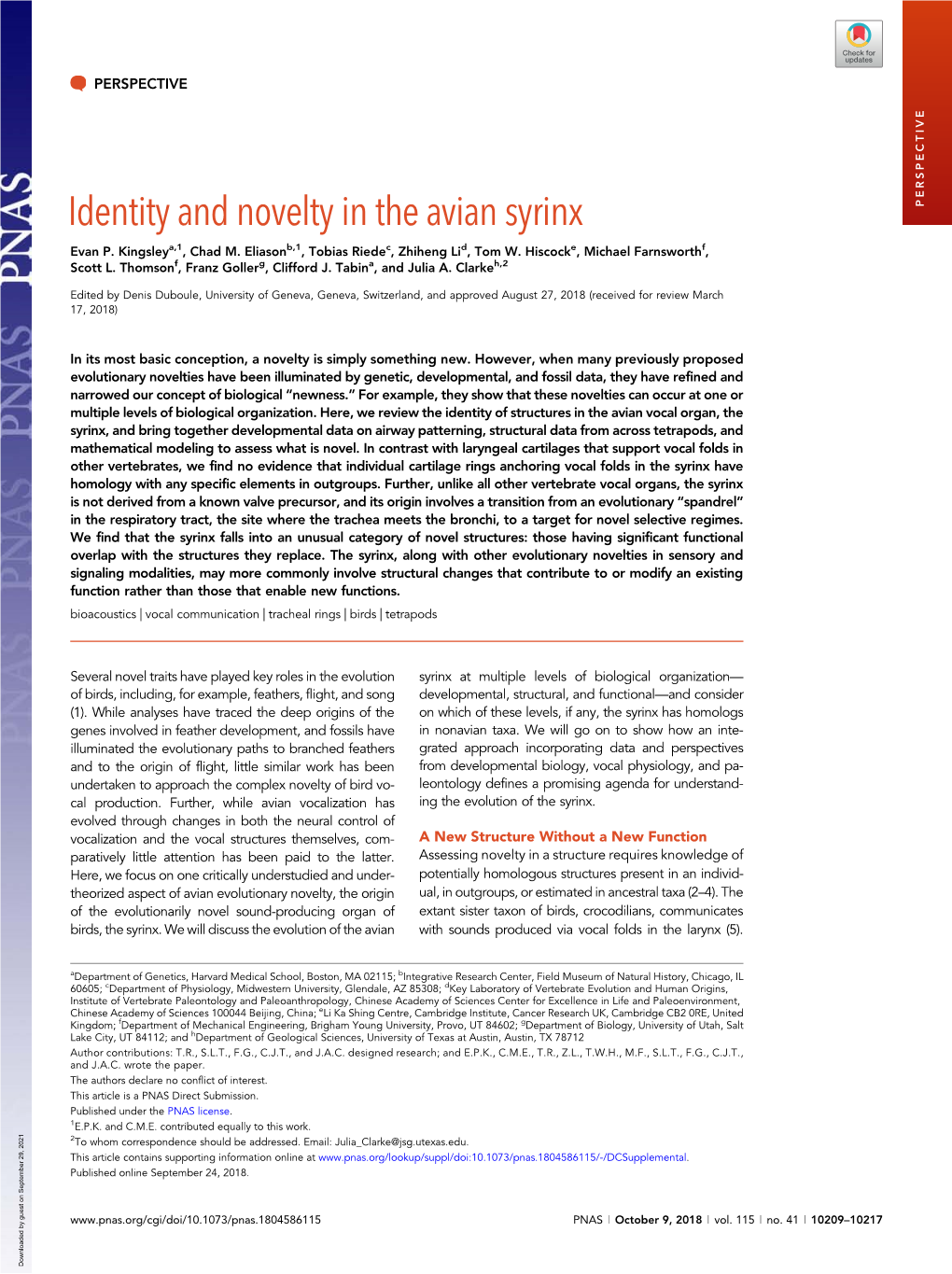 Identity and Novelty in the Avian Syrinx PERSPECTIVE