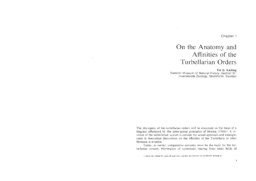 On the Anatomy and Affinities of the Turbellarian Orders