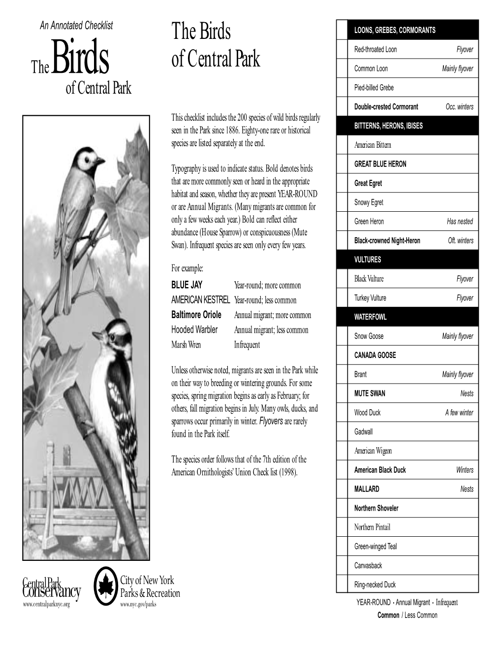 Printable Central Park Bird Checklist