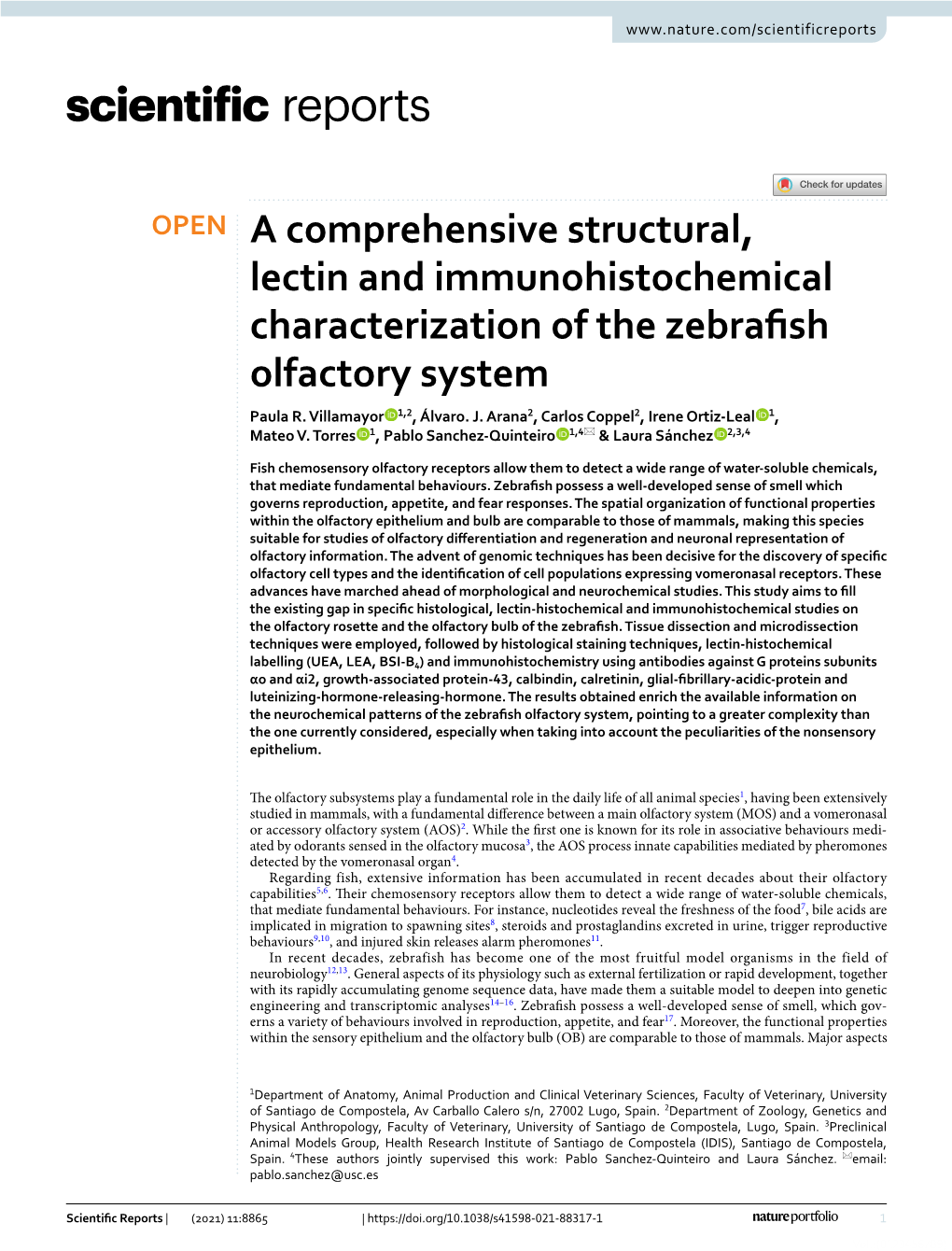 A Comprehensive Structural, Lectin and Immunohistochemical Characterization of the Zebrafsh Olfactory System Paula R