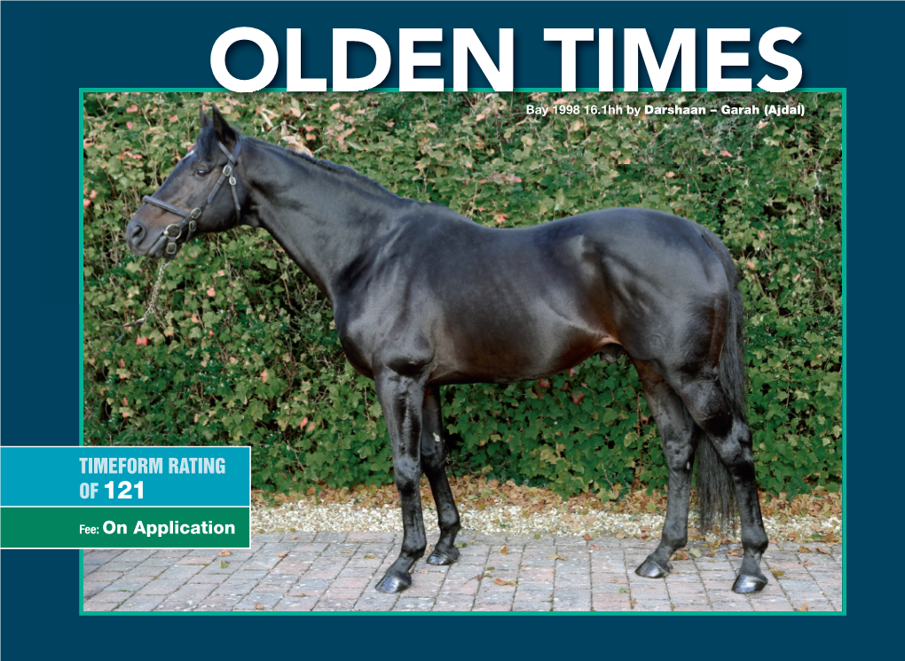 OLDEN TIMES Bay 1998 16.1Hh by Darshaan – Garah (Ajdal)