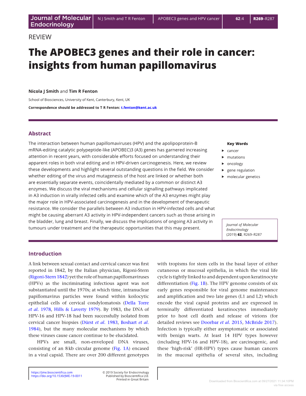 The APOBEC3 Genes and Their Role in Cancer: Insights from Human Papillomavirus