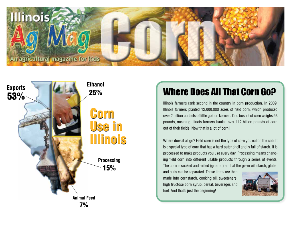 Ethanol Exports 53% 25% Where Does All That Corn Go? Illinois Farmers Rank Second in the Country in Corn Production