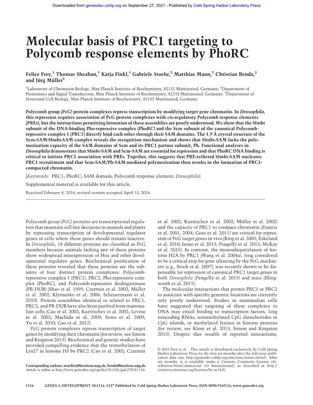 Molecular Basis of PRC1 Targeting to Polycomb Response Elements by Phorc