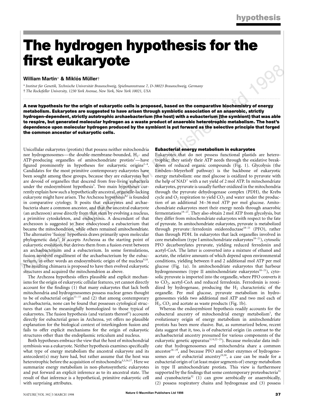 The Hydrogen Hypothesis for the First Eukaryote