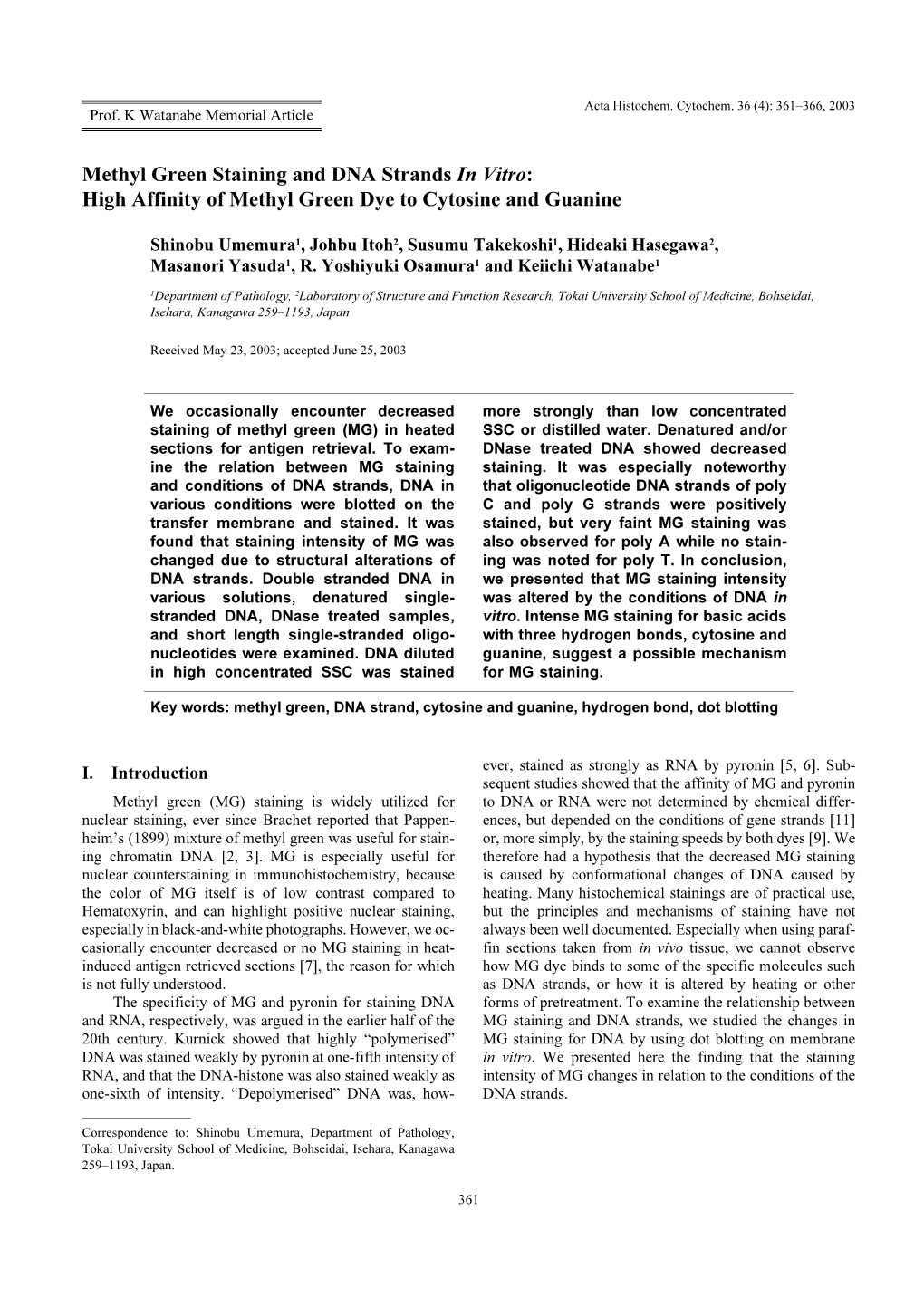 Methyl Green Staining and DNA Strands in Vitro: High Affinity of Methyl Green Dye to Cytosine and Guanine