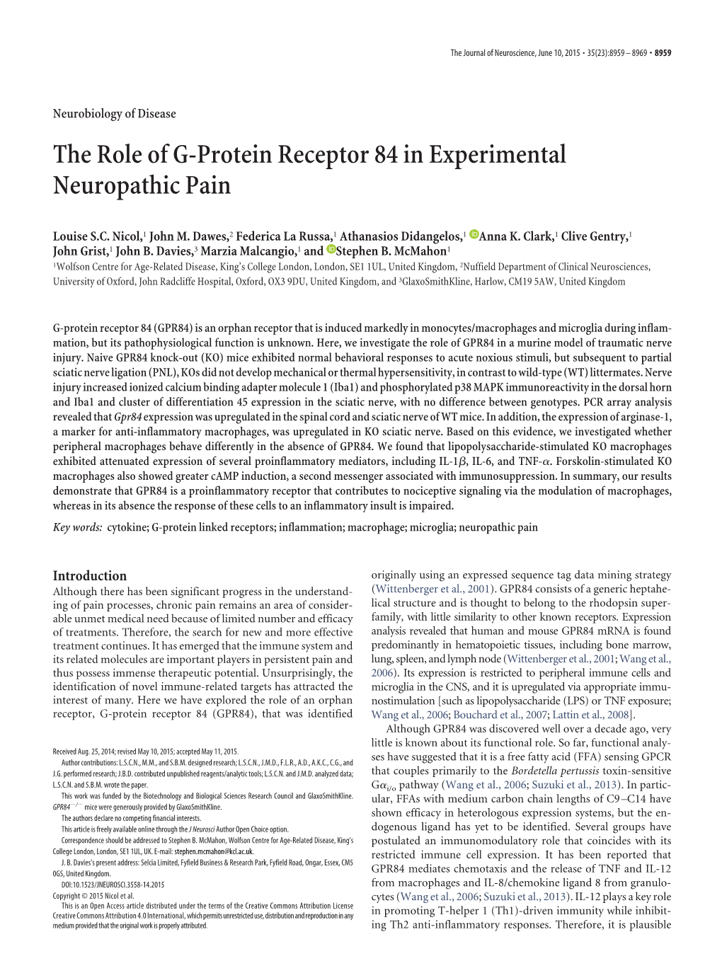 The Role of G-Protein Receptor 84 in Experimental Neuropathic Pain