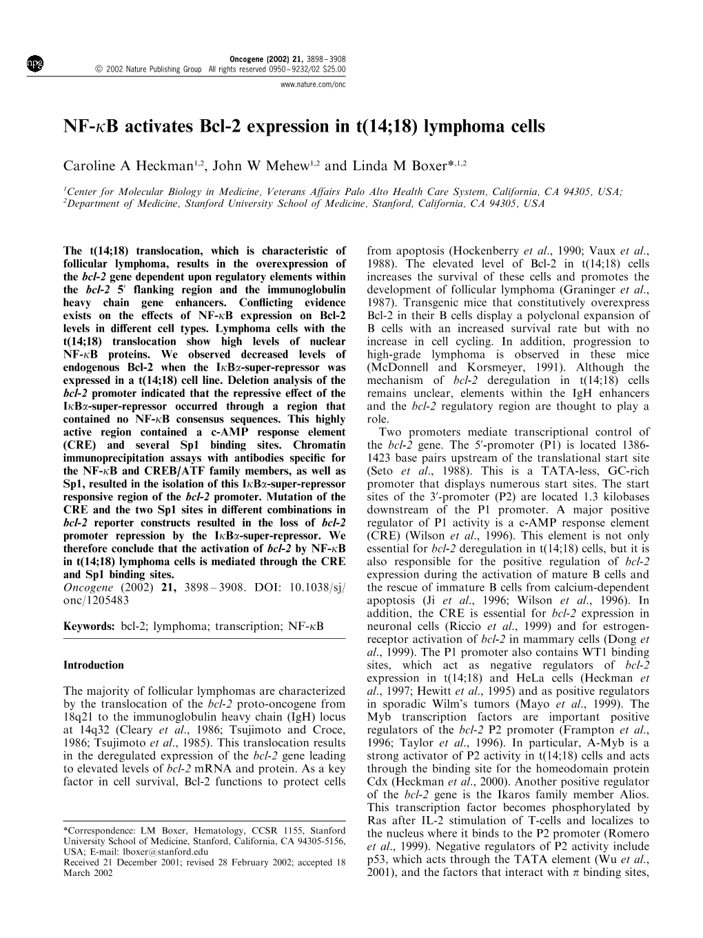 NF-Kb Activates Bcl-2 Expression in T(14;18) Lymphoma Cells