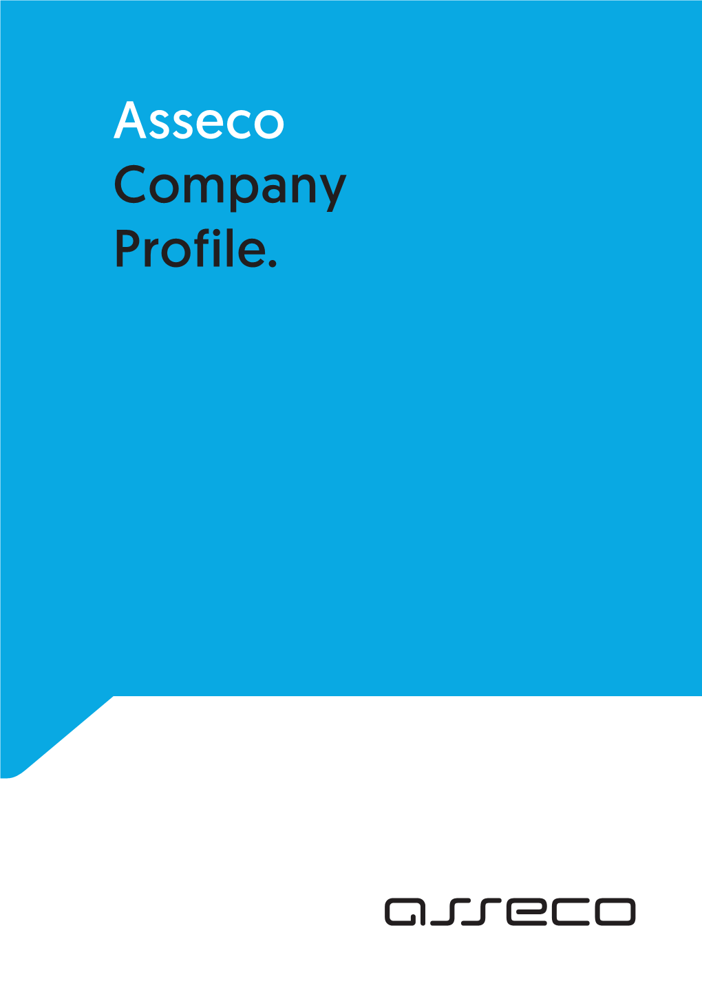 Asseco Company Profile WEB