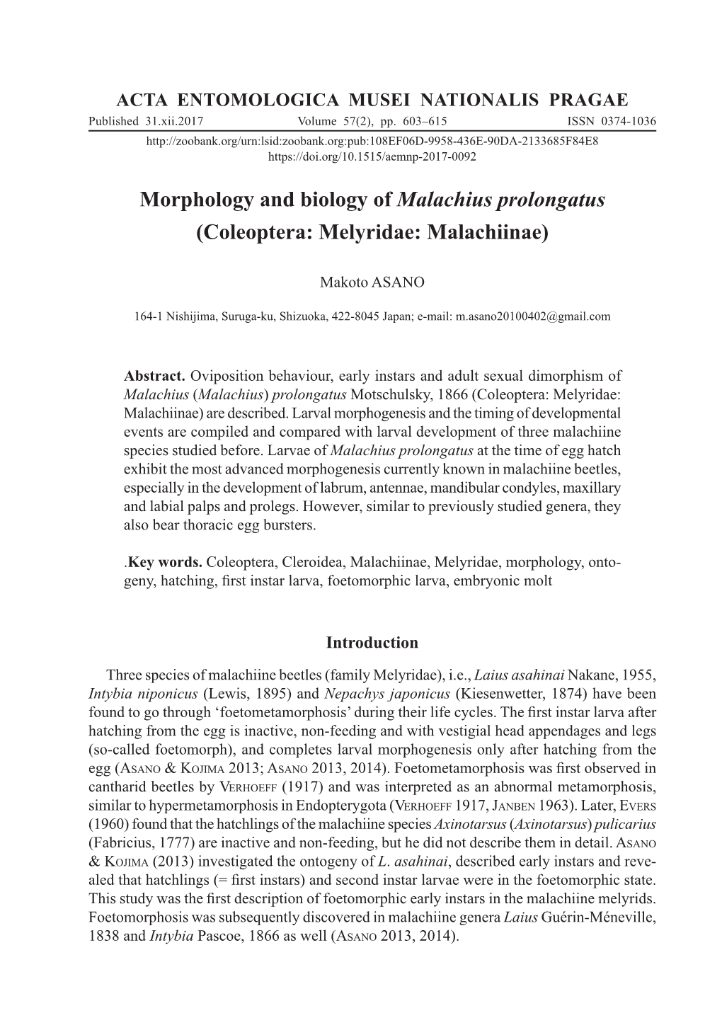 Morphology and Biology of Malachius Prolongatus (Coleoptera: Melyridae: Malachiinae)
