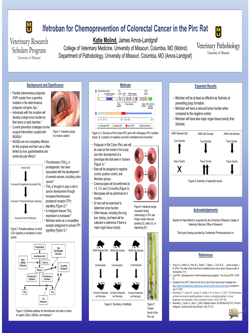 Ifetroban for Chemoprevention of Colorectal Cancer in the Pirc