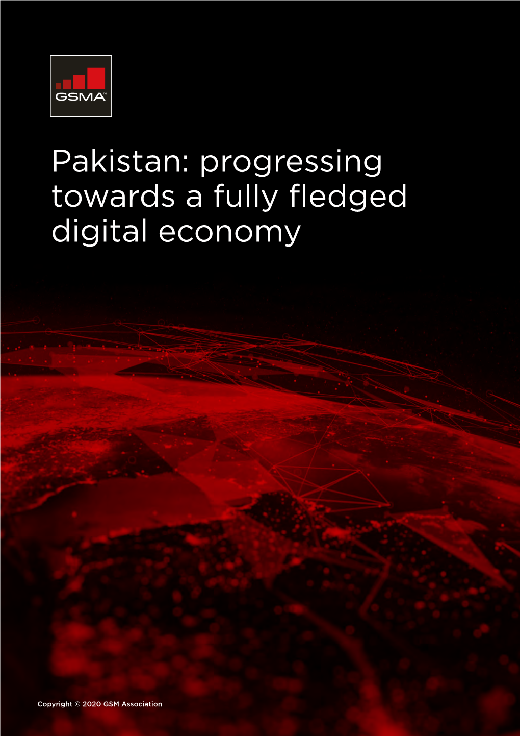 Pakistan: Progressing Towards a Fully Fledged Digital Economy