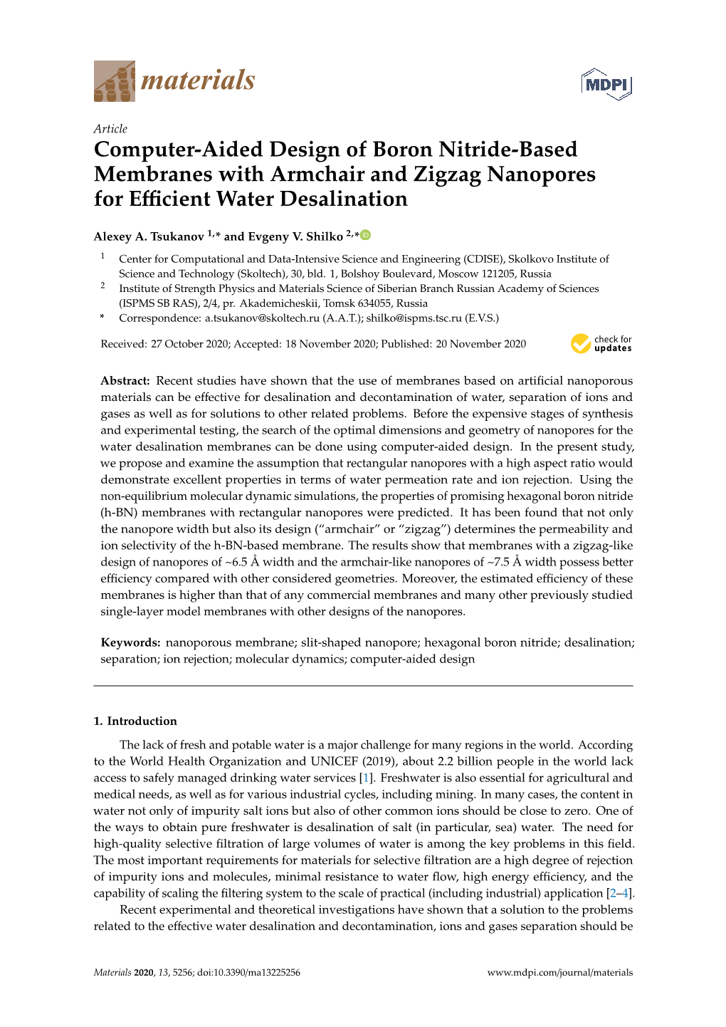 Computer-Aided Design of Boron Nitride-Based Membranes with Armchair and Zigzag Nanopores for Eﬃcient Water Desalination