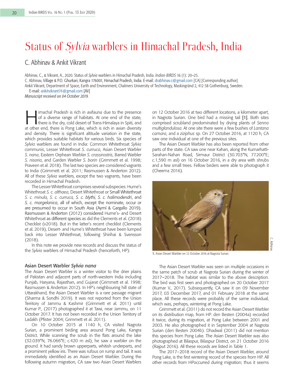 Status of Sylvia Warblers in Himachal Pradesh, India C