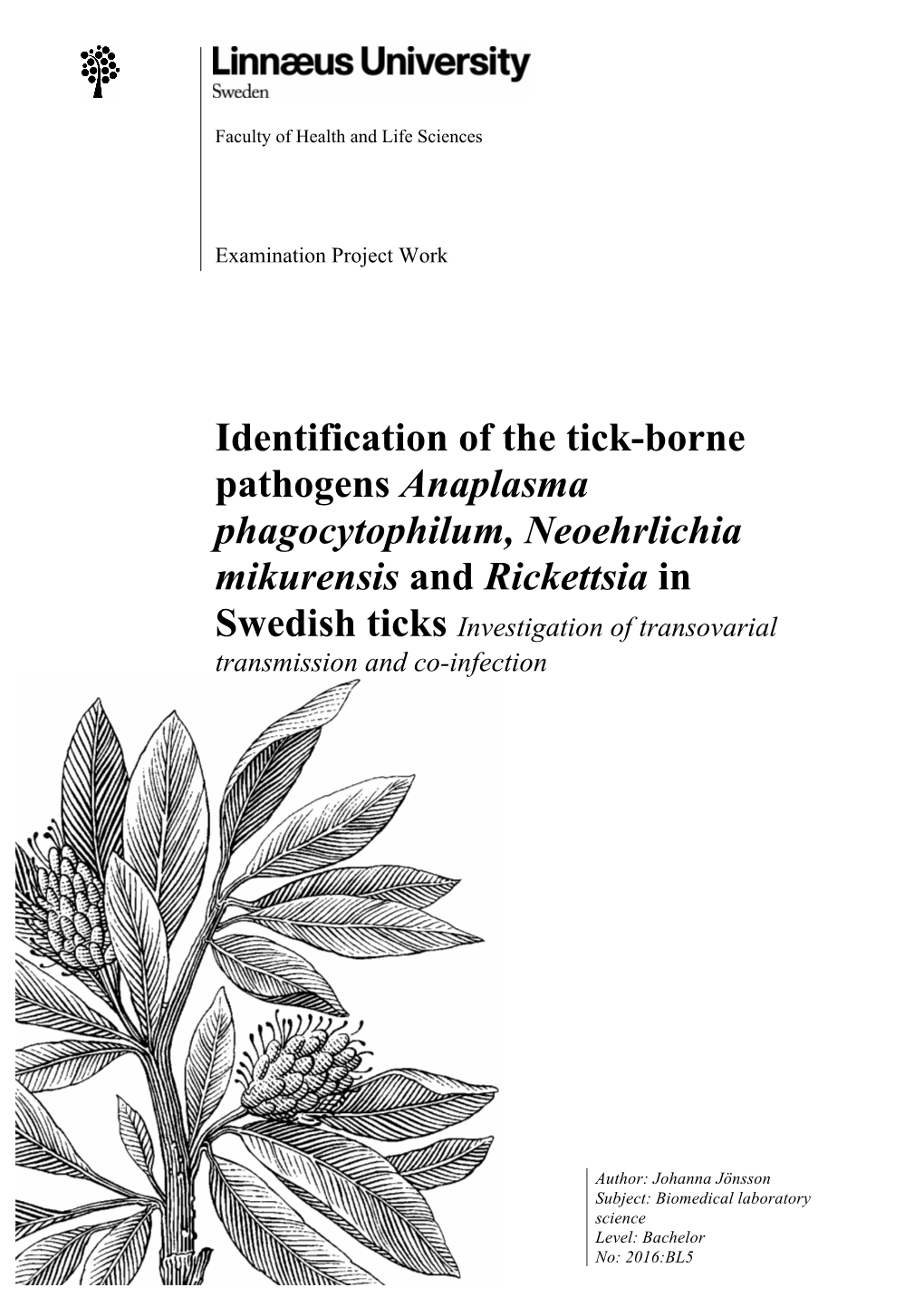 Identification of the Tick-Borne Pathogens Anaplasma