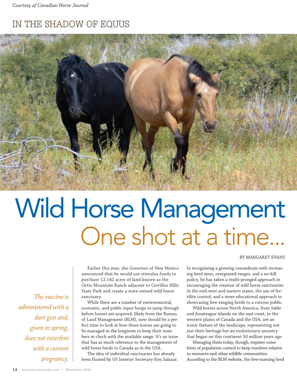 Wild Horse Management One Shot at a Time