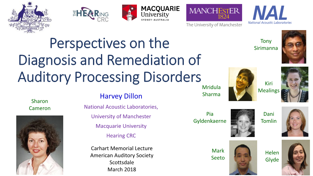 Perspectives on the Diagnosis and Remediation of Auditory Processing Disorders