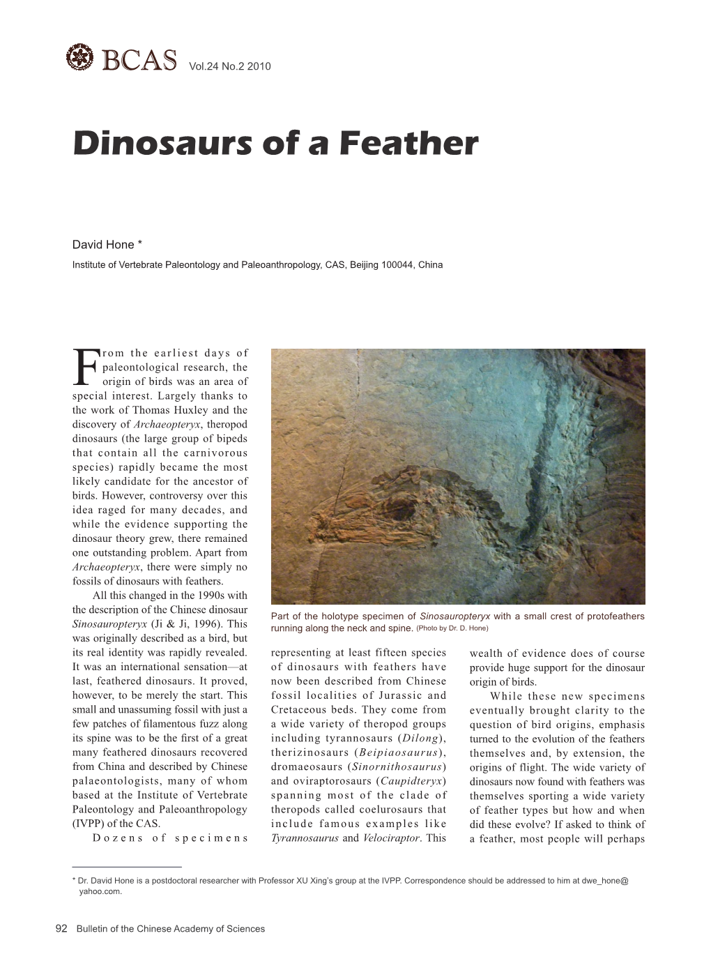 Dinosaurs of a Feather